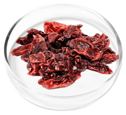 DigestiStart Ingredients